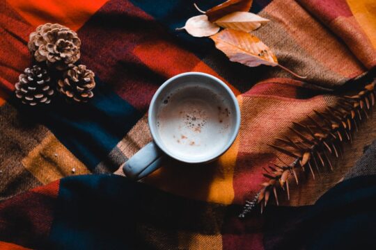 فصل الخريف وألوانه Colors of autumn, the fall Photo by Ana M.: https://www.pexels.com/photo/white-mug-3152022/