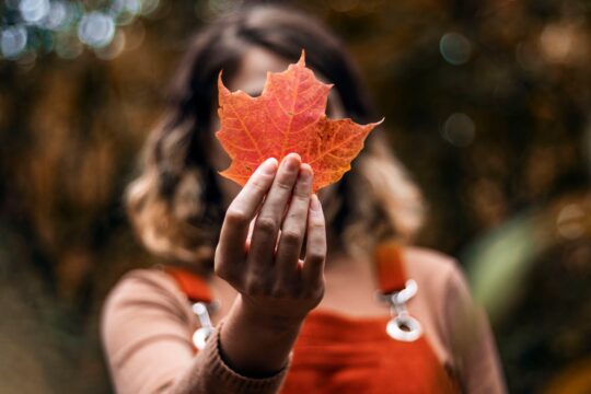 البرتقالي في فصل الخريف Orange color in Autumn Photo by thevibrantmachine: https://www.pexels.com/photo/shallow-focus-photo-of-person-holding-red-maple-leaf-3007663/