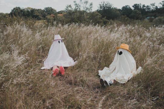 أشباح في المزرعة ghosts in a farm Photo by Airam Dato-on: https://www.pexels.com/photo/photo-of-people-in-ghost-costumes-sitting-on-the-grass-9471529/